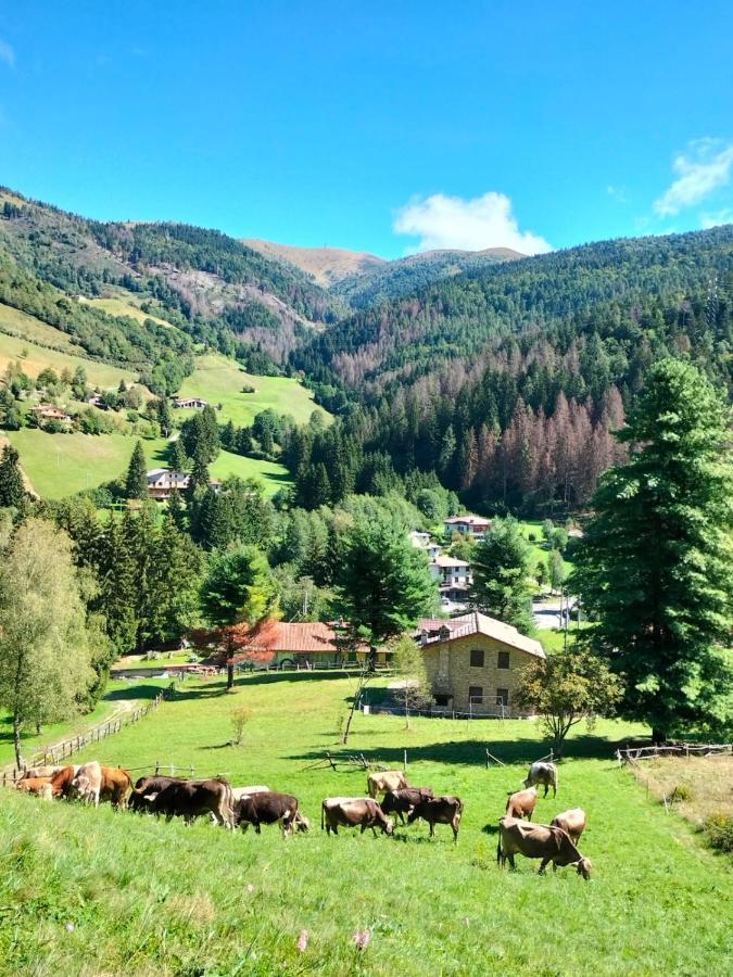 Casa Vacanza Pieve Pisogne Exteriör bild