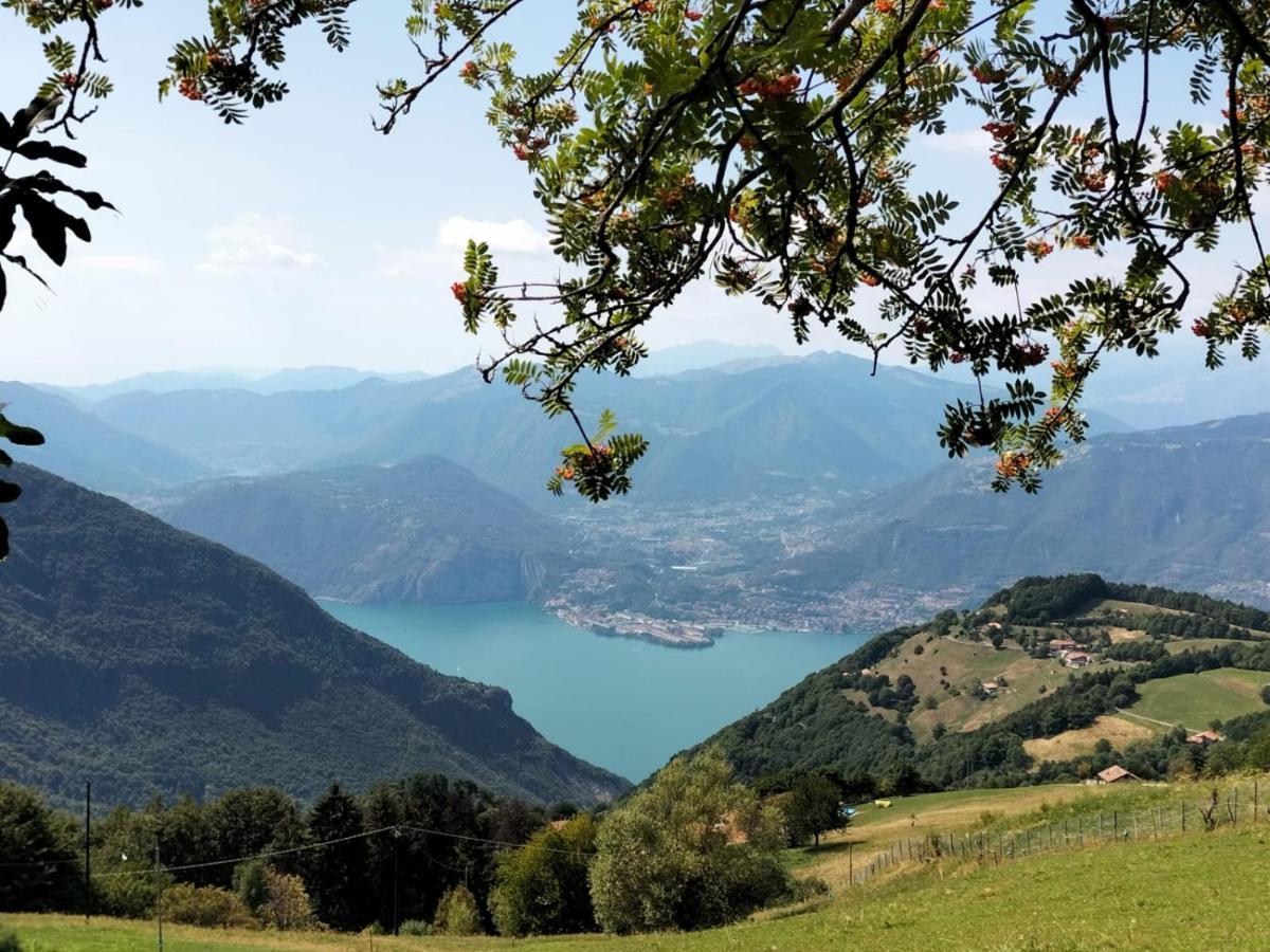 Casa Vacanza Pieve Pisogne Exteriör bild